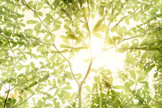 How 2mag Laboratory Stirrers Help Make Your Lab More Eco-Friendly