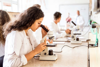 Beyond The Lab: How 2mag Magnetic Stirrers Promote Lifelong Learning